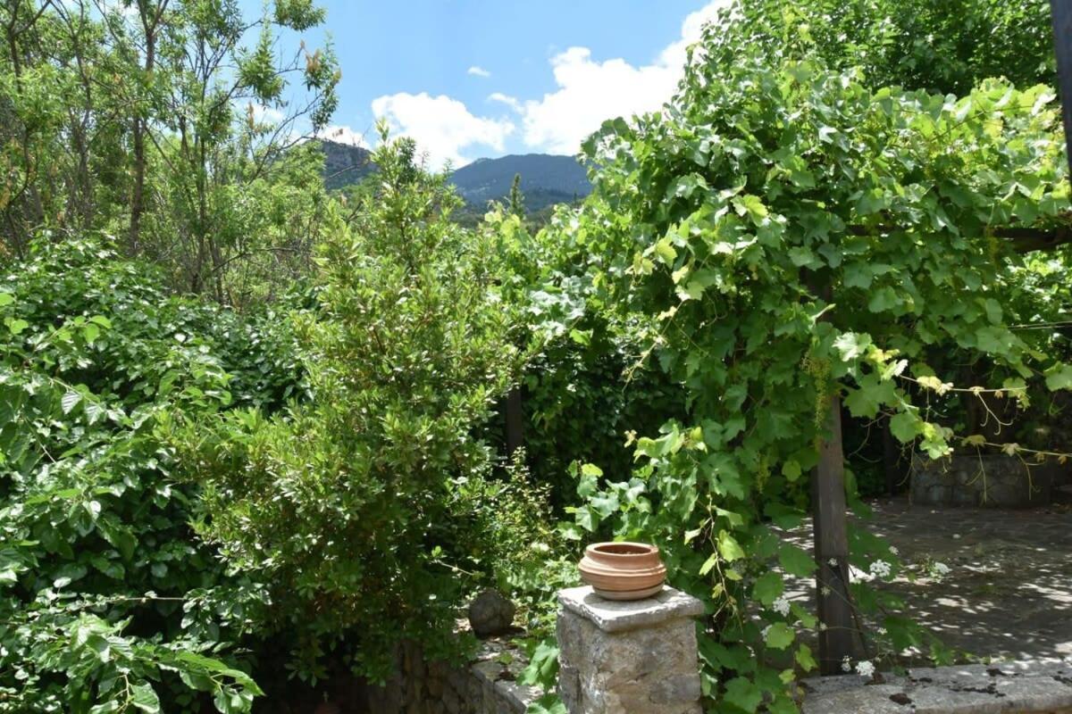 Mariolata Vintage Stone Villa - 4 Season Escape Buitenkant foto